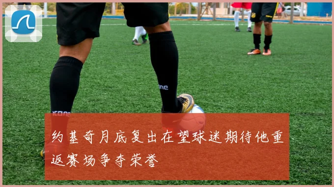 约基奇月底复出在望球迷期待他重返赛场争夺荣誉