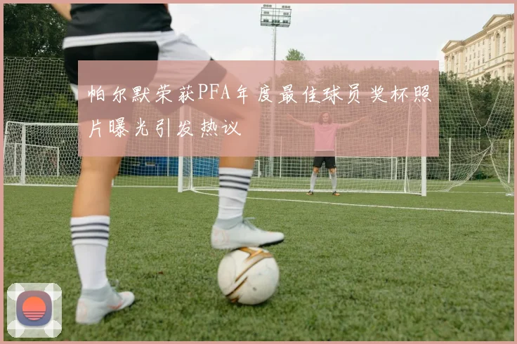 帕尔默荣获PFA年度最佳球员奖杯照片曝光引发热议